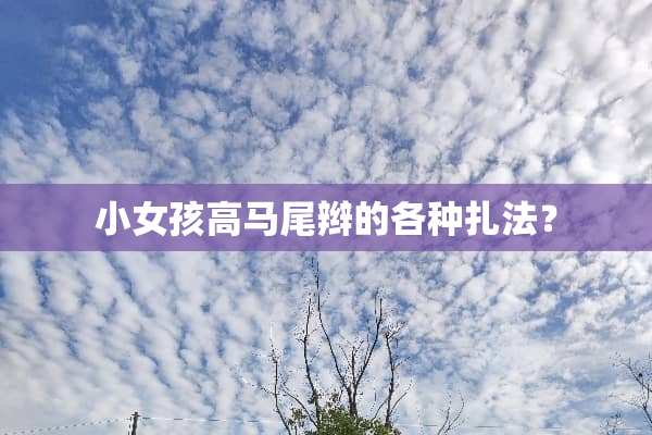小女孩高马尾辫的各种扎法？