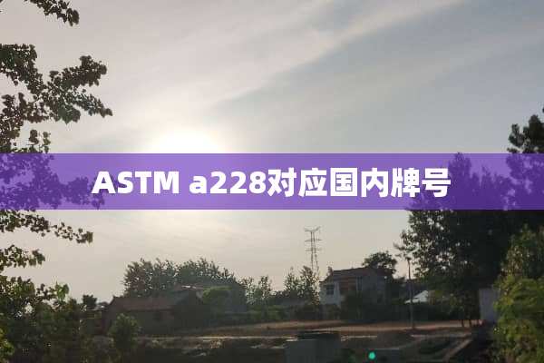ASTM a228对应国内牌号