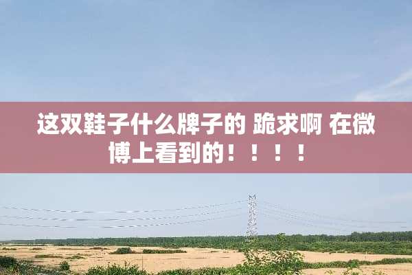 这双鞋子什么牌子的 跪求啊 在微博上看到的！！！！