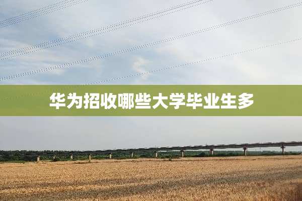 华为招收哪些大学毕业生多
