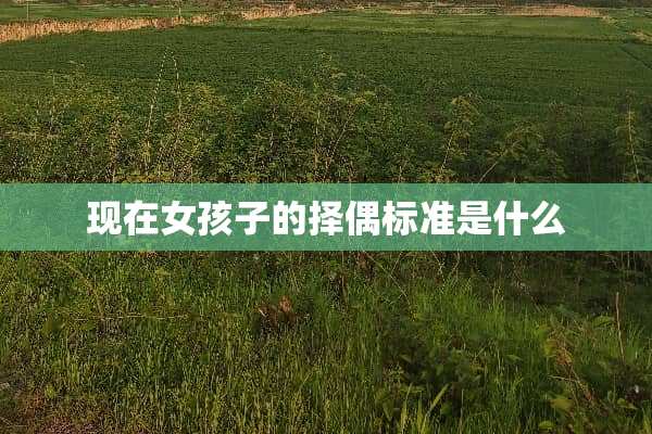 现在女孩子的择偶标准是什么