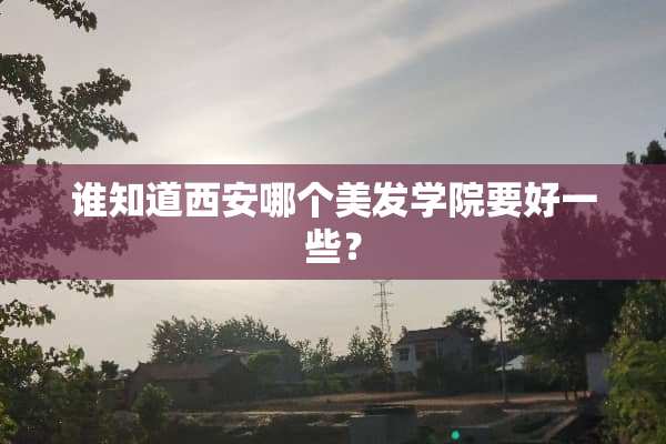 谁知道西安哪个美发学院要好一些？