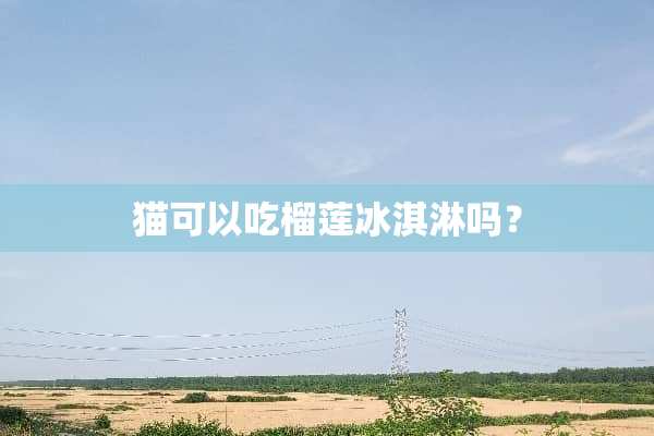 猫可以吃榴莲冰淇淋吗？