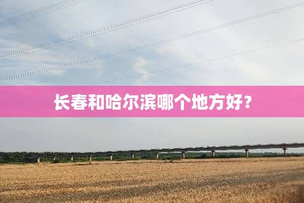 长春和哈尔滨哪个地方好？
