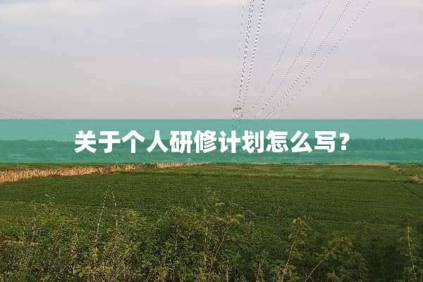 关于个人研修计划怎么写？