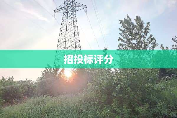 招投标评分