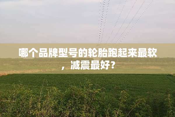 哪个品牌型号的轮胎跑起来最软，减震最好？