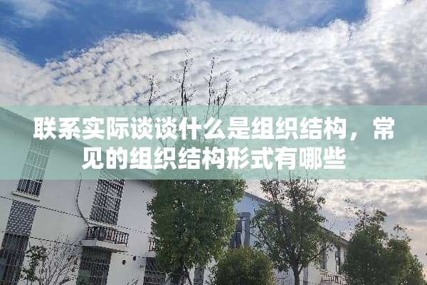 联系实际谈谈什么是组织结构，常见的组织结构形式有哪些