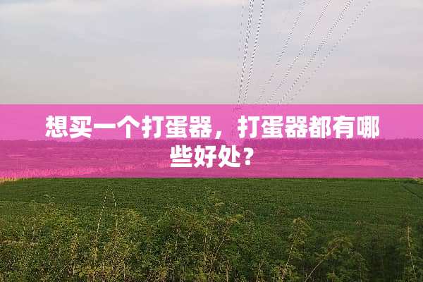 想买一个打蛋器，打蛋器都有哪些好处？