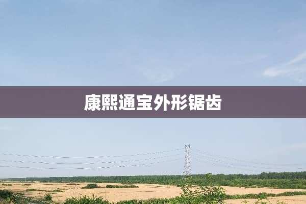 康熙通宝外形锯齿