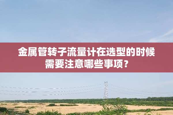 金属管转子流量计在选型的时候需要注意哪些事项？