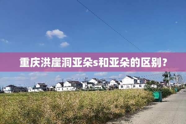重庆洪崖洞亚朵s和亚朵的区别？