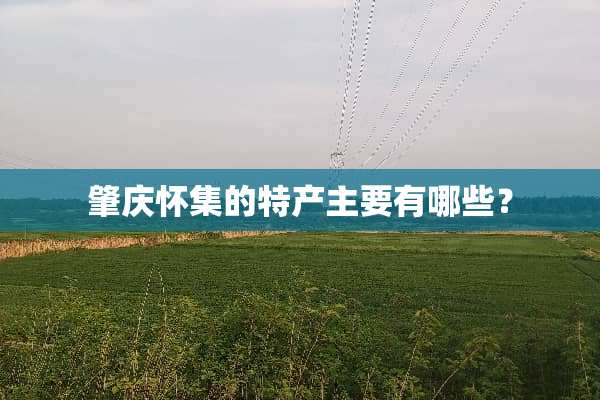 肇庆怀集的特产主要有哪些？