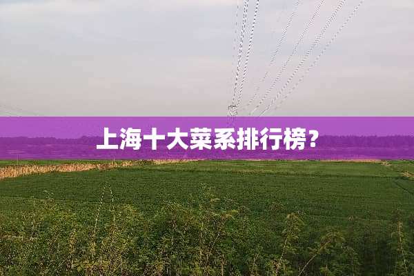 上海十大菜系排行榜？