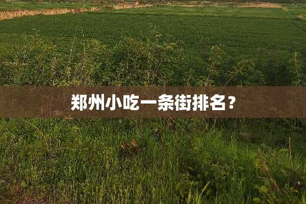 郑州小吃一条街排名？