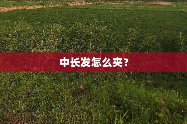 中长发怎么夹？