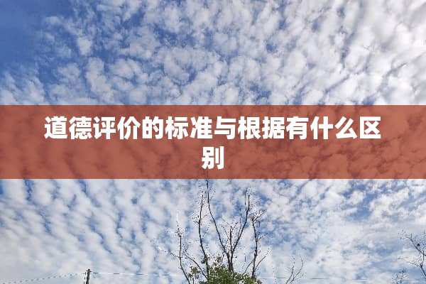 道德评价的标准与根据有什么区别