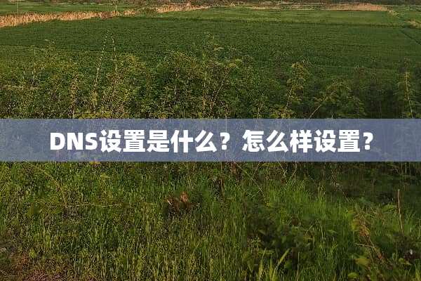 DNS设置是什么？怎么样设置？