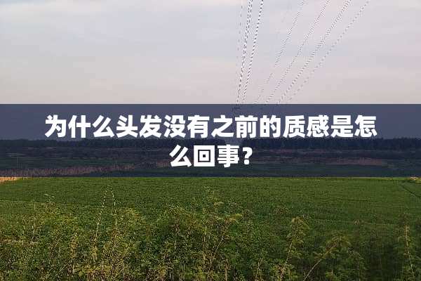 为什么头发没有之前的质感是怎么回事？