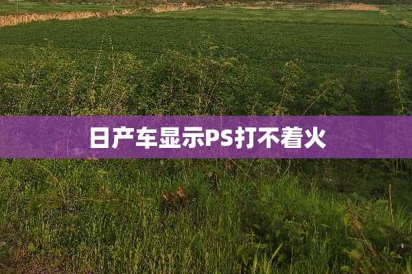 日产车显示PS打不着火