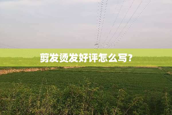 剪发烫发好评怎么写？