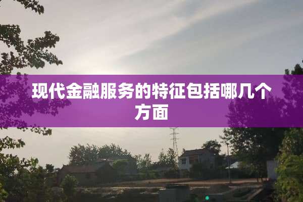 现代金融服务的特征包括哪几个方面