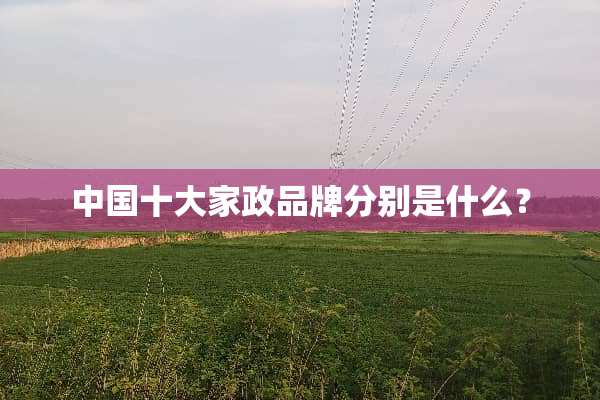 中国十大家政品牌分别是什么？