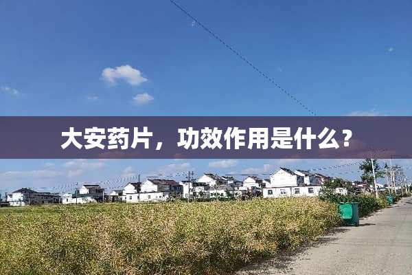 大安药片，功效作用是什么？