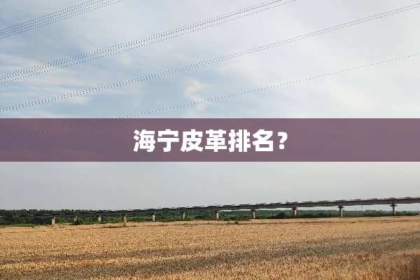海宁皮革排名？