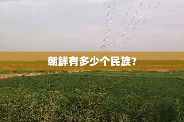 朝鲜有多少个民族？