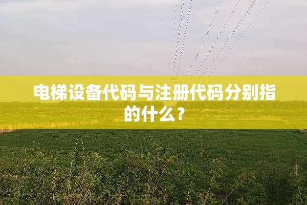 电梯设备代码与注册代码分别指的什么？