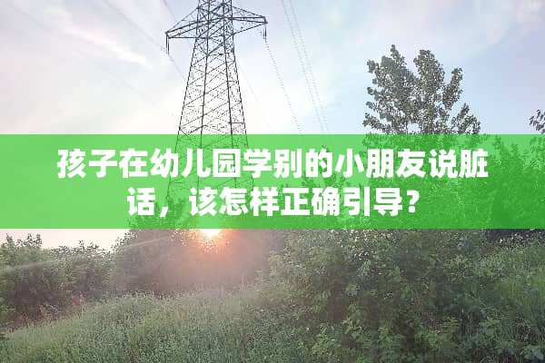 孩子在幼儿园学别的小朋友说脏话，该怎样正确引导？