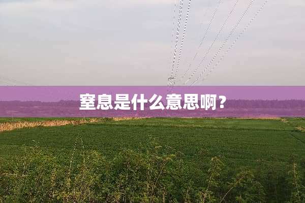 窒息是什么意思啊？