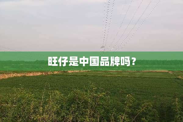 旺仔是中国品牌吗？