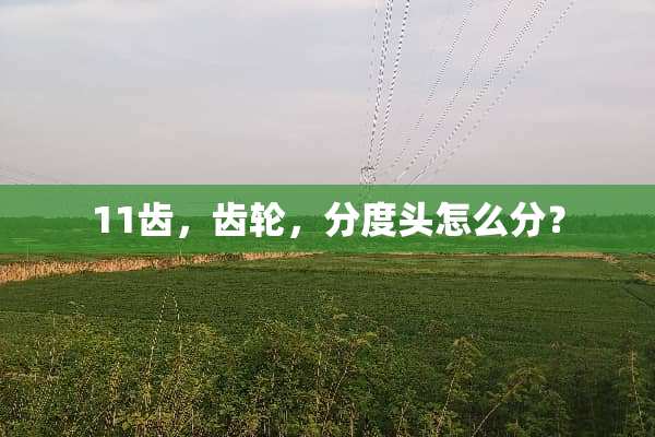 11齿，齿轮，分度头怎么分？