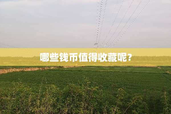 哪些钱币值得收藏呢？