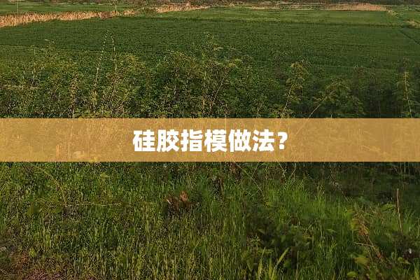 硅胶指模做法？