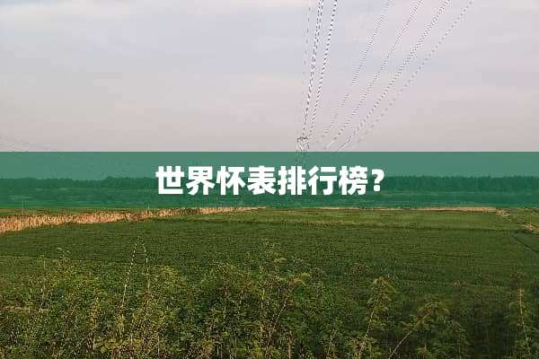 世界怀表排行榜？