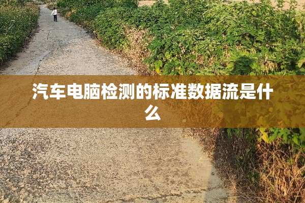 汽车电脑检测的标准数据流是什么