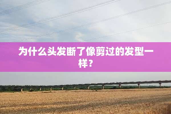 为什么头发断了像剪过的发型一样？