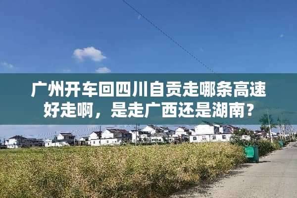 广州开车回四川自贡走哪条高速好走啊，是走广西还是湖南？