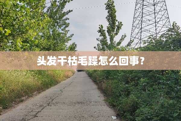 头发干枯毛躁怎么回事？