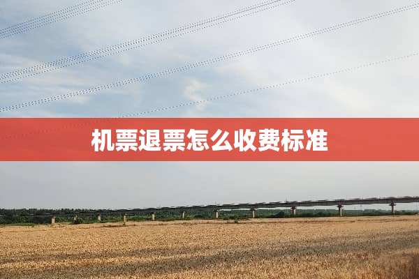 机票退票怎么收费标准