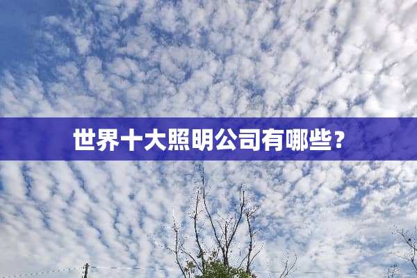世界十大照明公司有哪些？