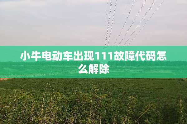 小牛电动车出现111故障代码怎么解除