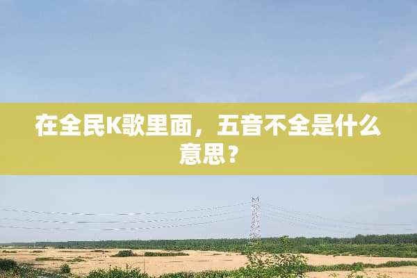 在全民K歌里面，五音不全是什么意思？