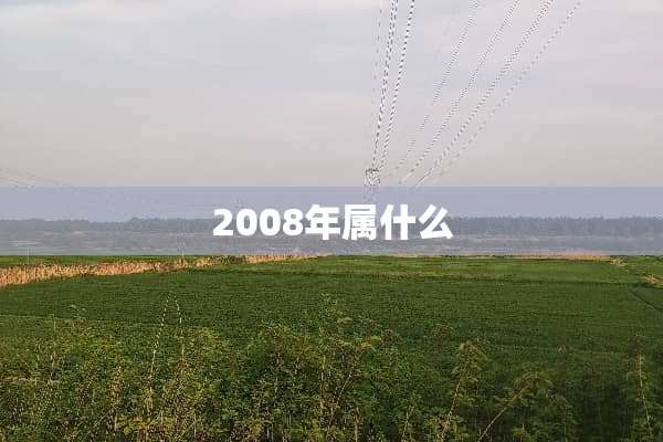2008年属什么