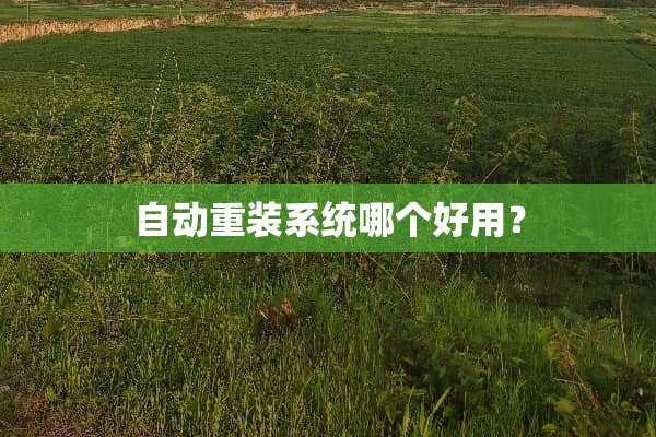 自动重装系统哪个好用？