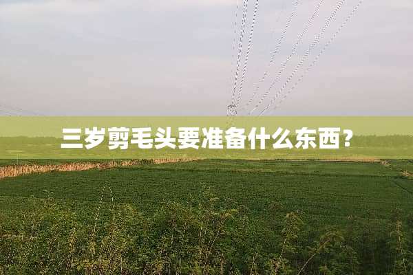 三岁剪毛头要准备什么东西？
