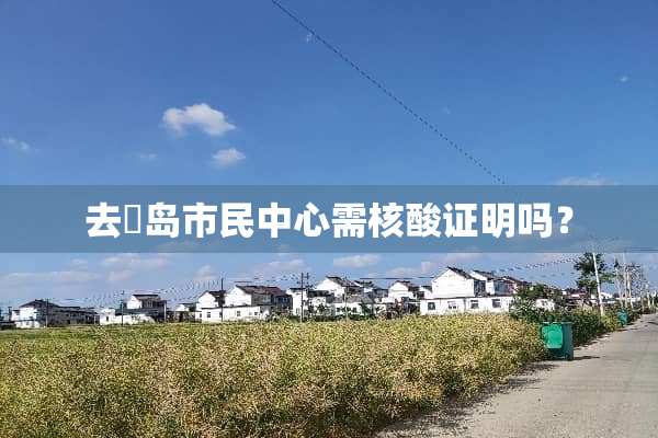 去靑岛市民中心需核酸证明吗？